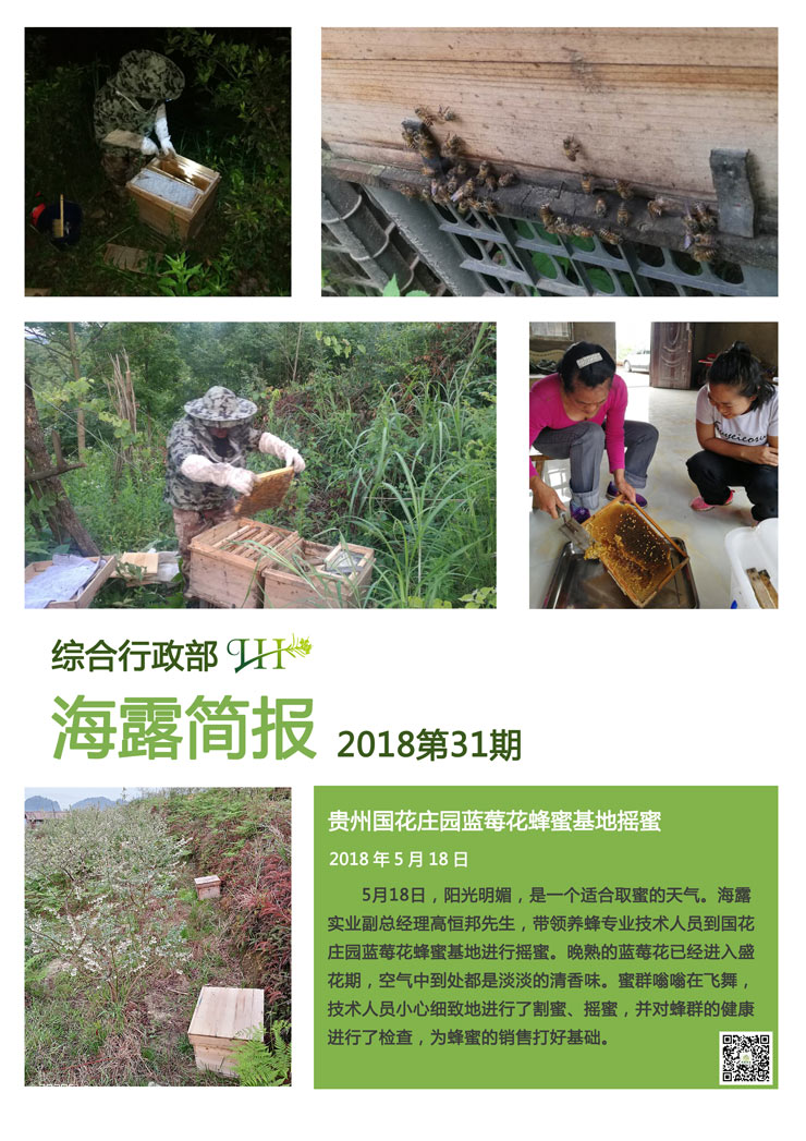 PA视讯(中国)集团官网 - PlayAce