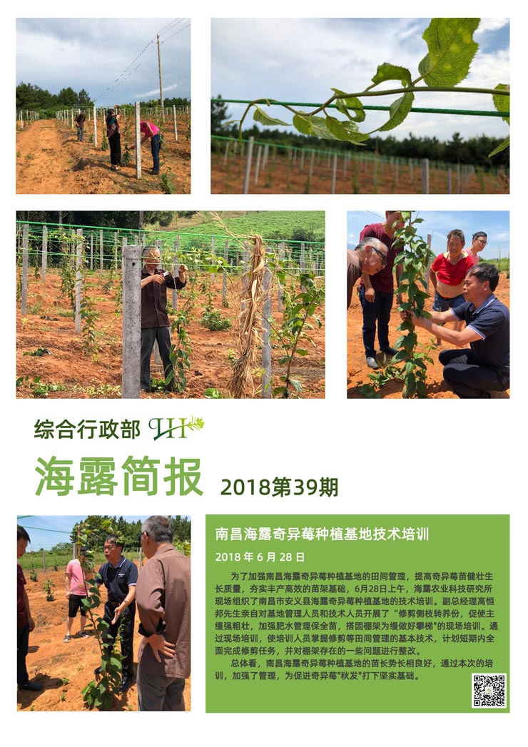 PA视讯(中国)集团官网 - PlayAce