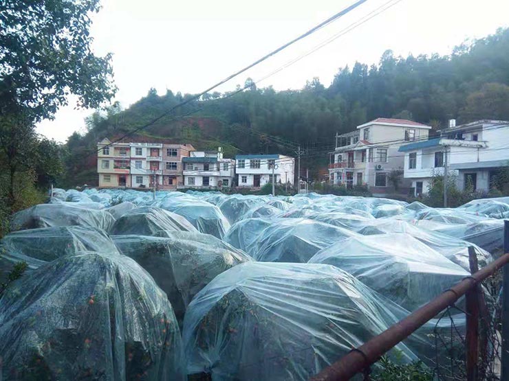 PA视讯(中国)集团官网 - PlayAce