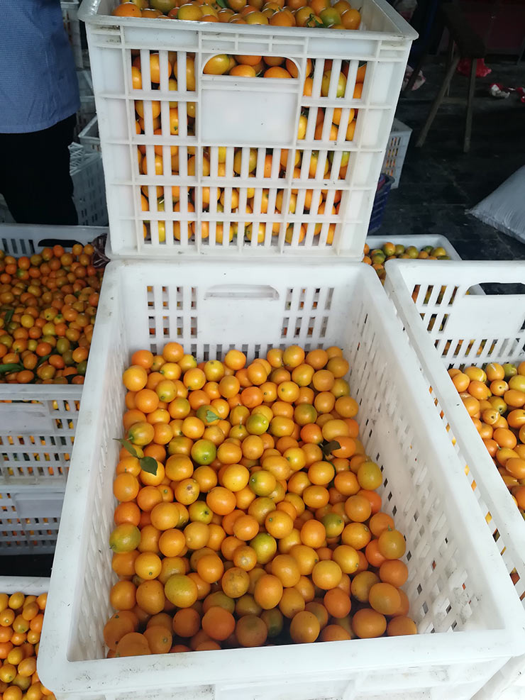 PA视讯(中国)集团官网 - PlayAce