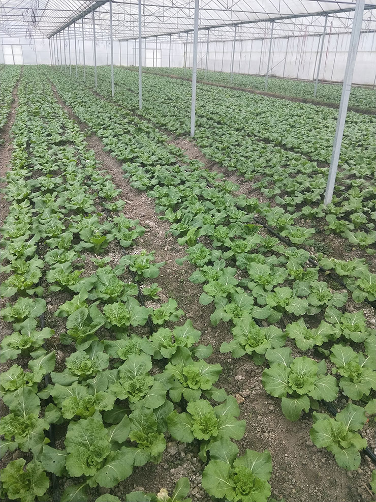 PA视讯(中国)集团官网 - PlayAce