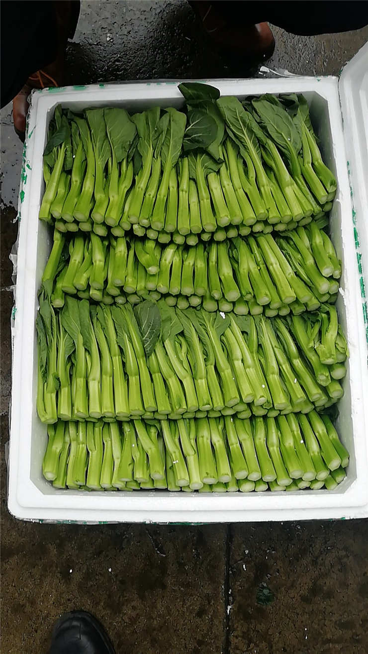 PA视讯(中国)集团官网 - PlayAce