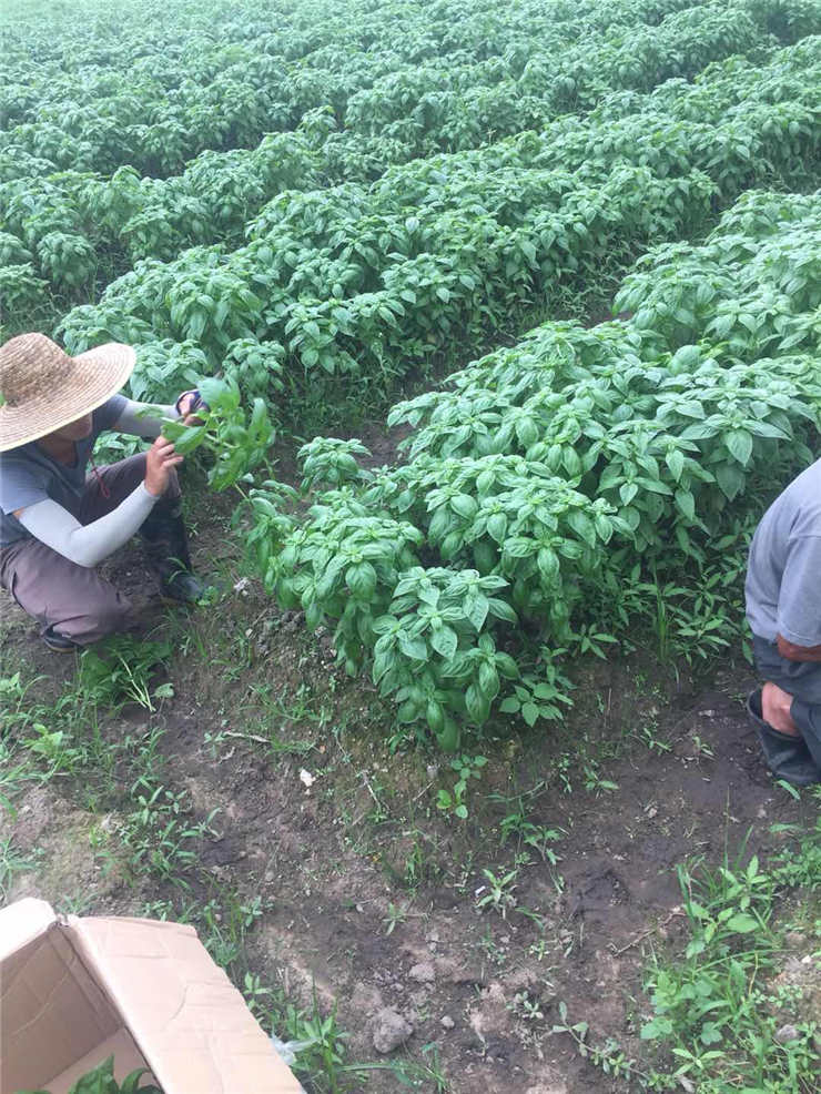 PA视讯(中国)集团官网 - PlayAce