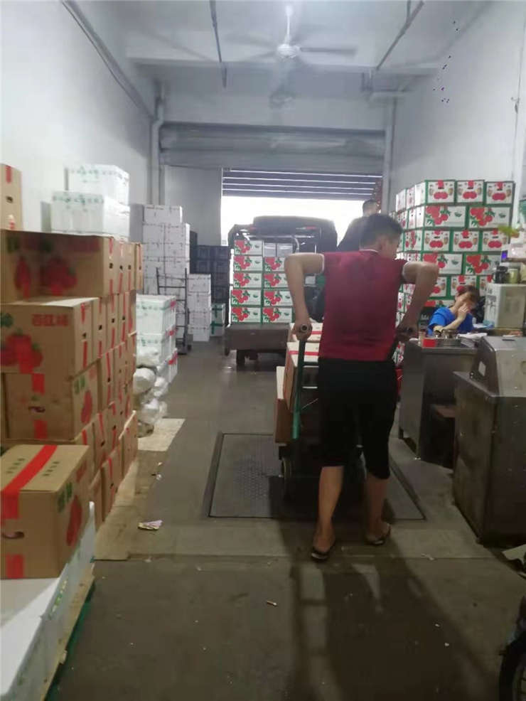 PA视讯(中国)集团官网 - PlayAce