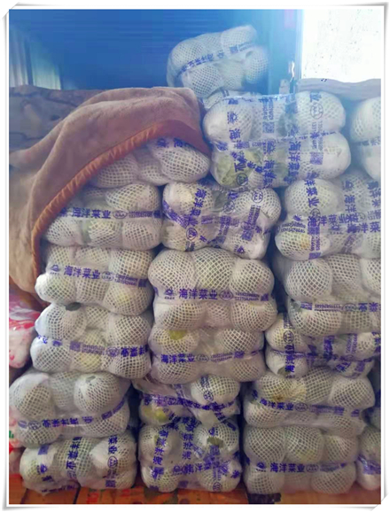 PA视讯(中国)集团官网 - PlayAce