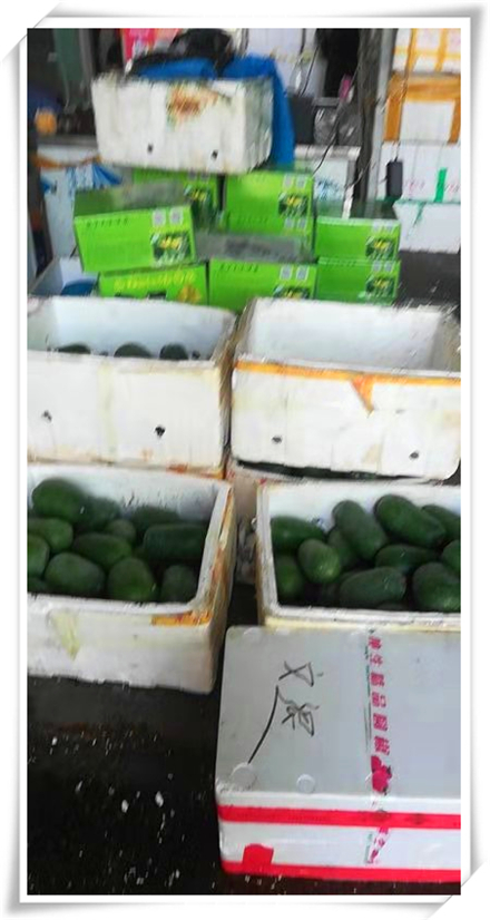 PA视讯(中国)集团官网 - PlayAce