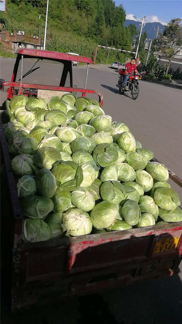 PA视讯(中国)集团官网 - PlayAce