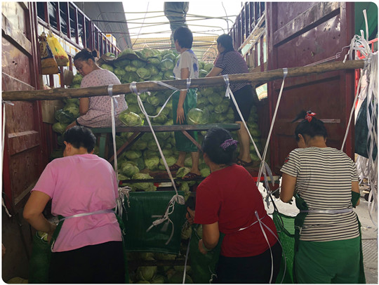 PA视讯(中国)集团官网 - PlayAce