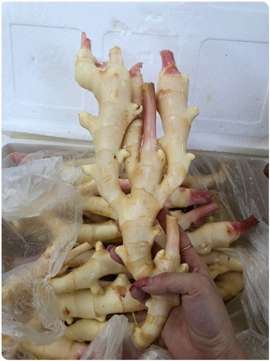 PA视讯(中国)集团官网 - PlayAce