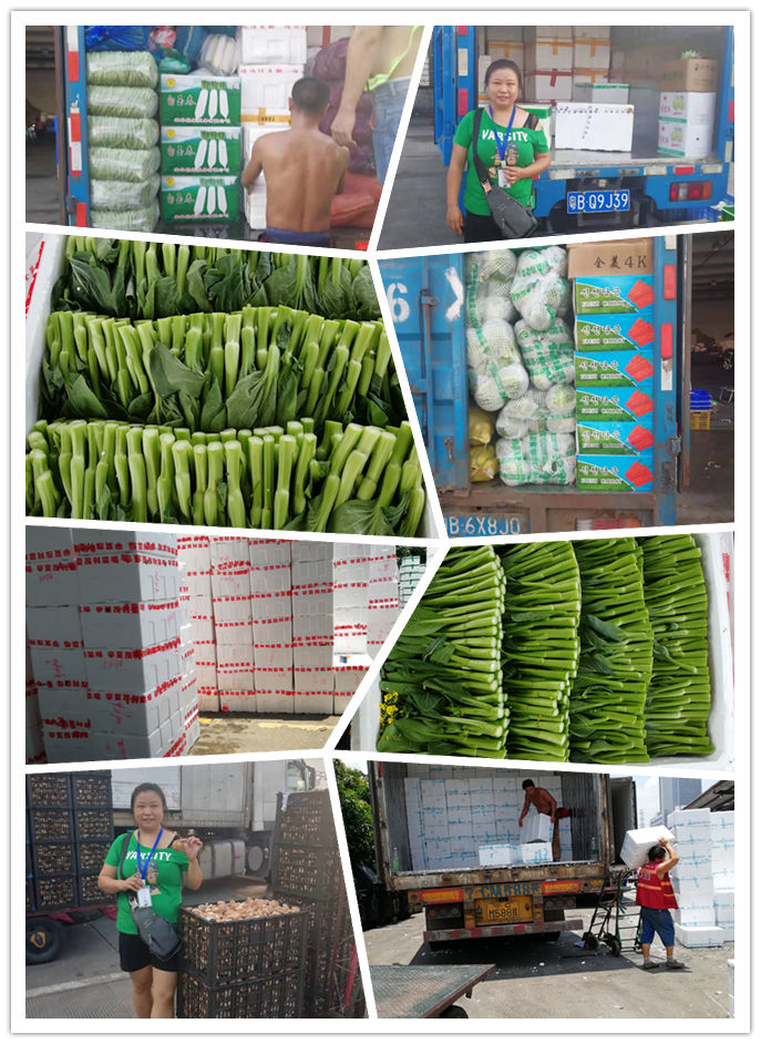 PA视讯(中国)集团官网 - PlayAce