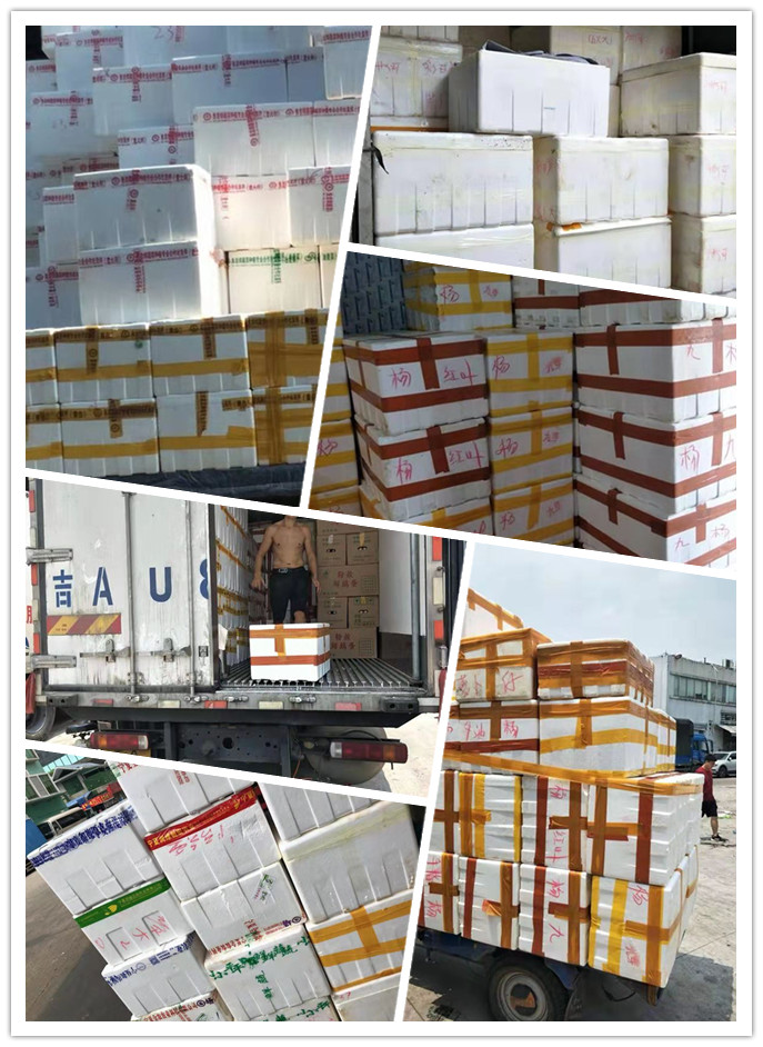 PA视讯(中国)集团官网 - PlayAce