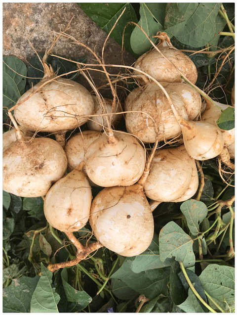 PA视讯(中国)集团官网 - PlayAce