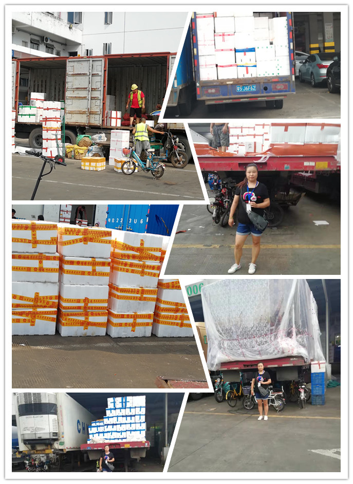 PA视讯(中国)集团官网 - PlayAce