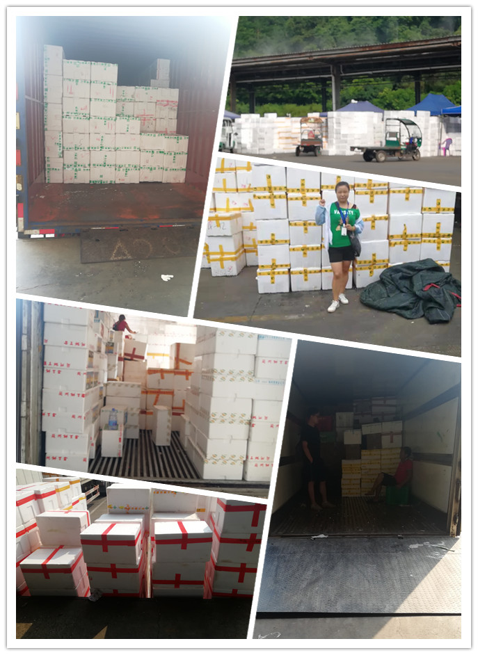 PA视讯(中国)集团官网 - PlayAce