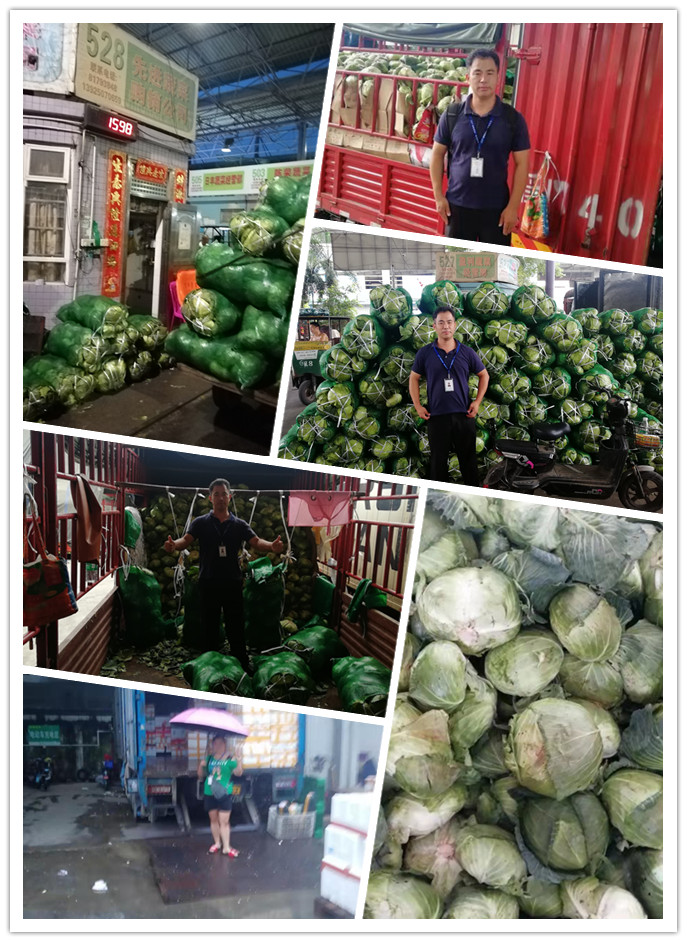 PA视讯(中国)集团官网 - PlayAce