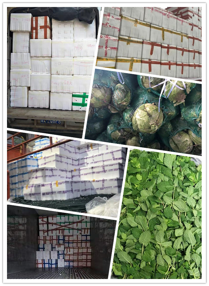 PA视讯(中国)集团官网 - PlayAce