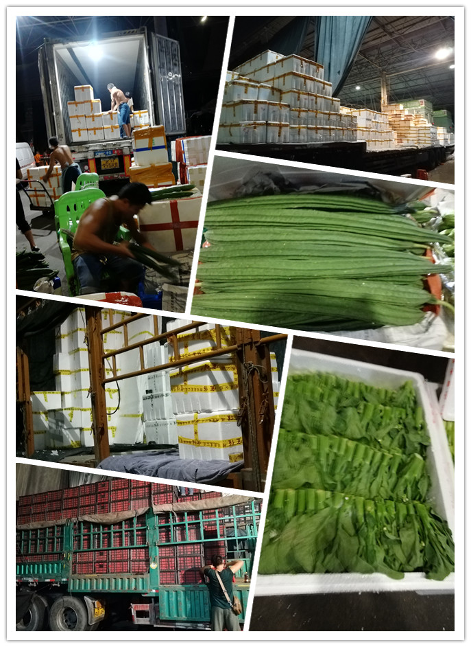 PA视讯(中国)集团官网 - PlayAce