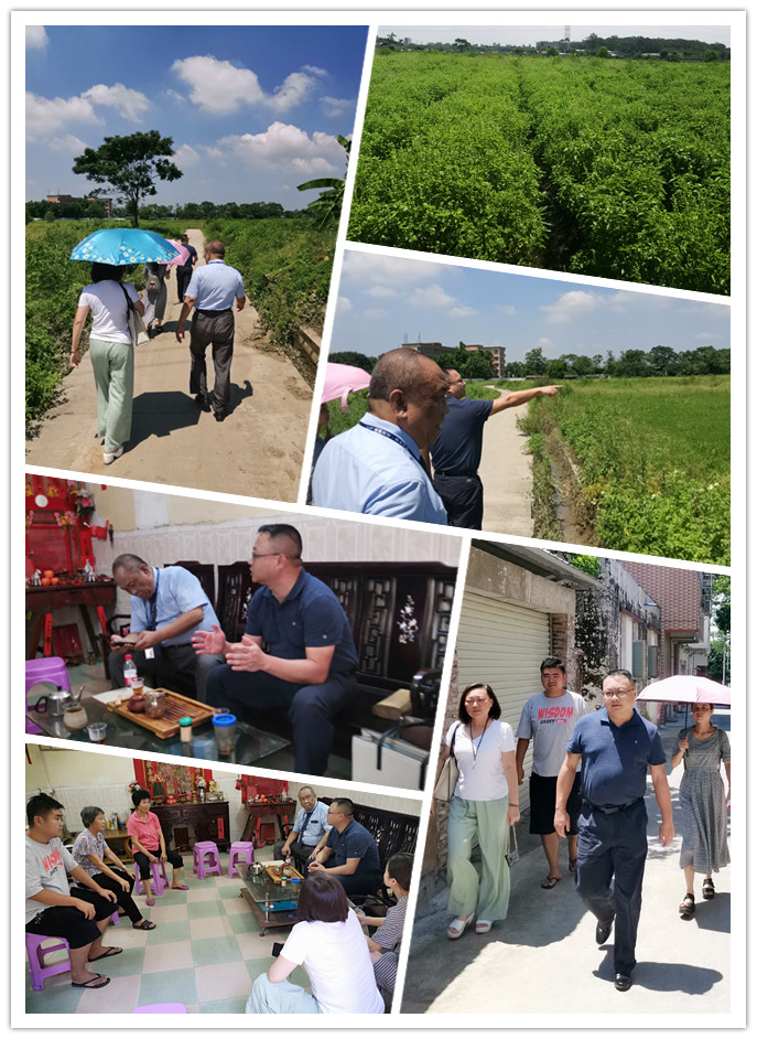 PA视讯(中国)集团官网 - PlayAce