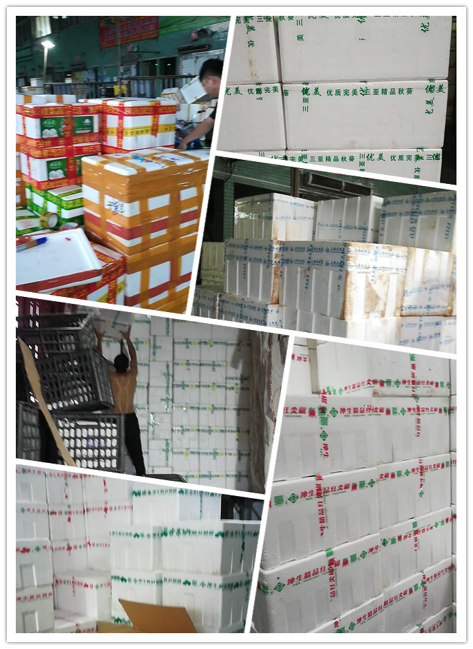 PA视讯(中国)集团官网 - PlayAce