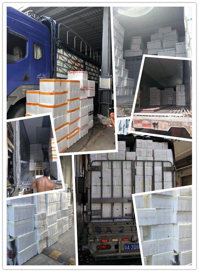 PA视讯(中国)集团官网 - PlayAce