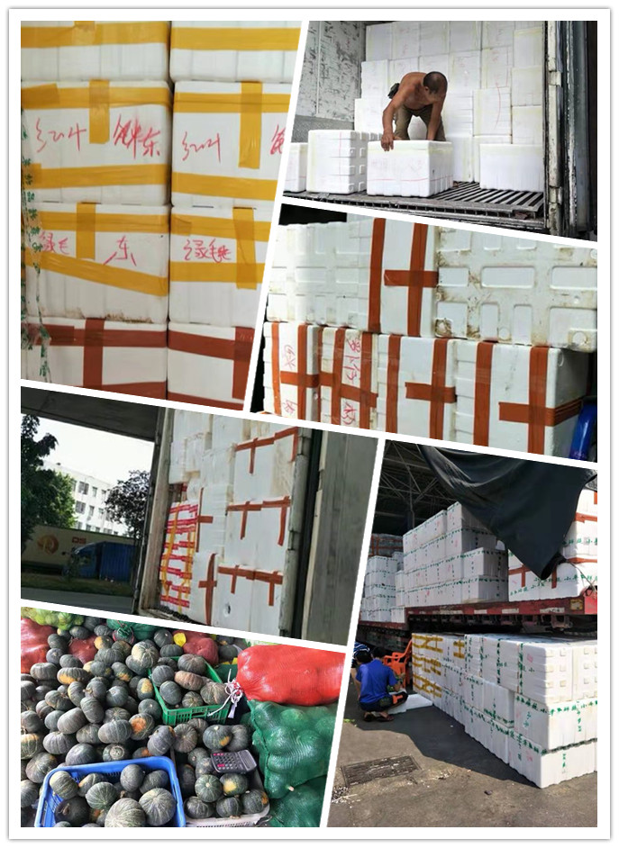 PA视讯(中国)集团官网 - PlayAce