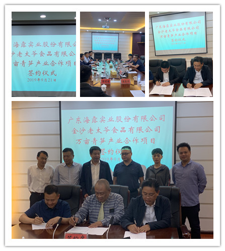 PA视讯(中国)集团官网 - PlayAce