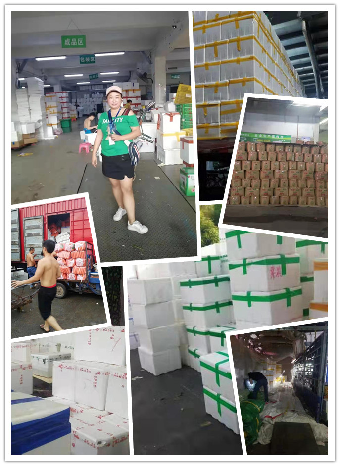 PA视讯(中国)集团官网 - PlayAce