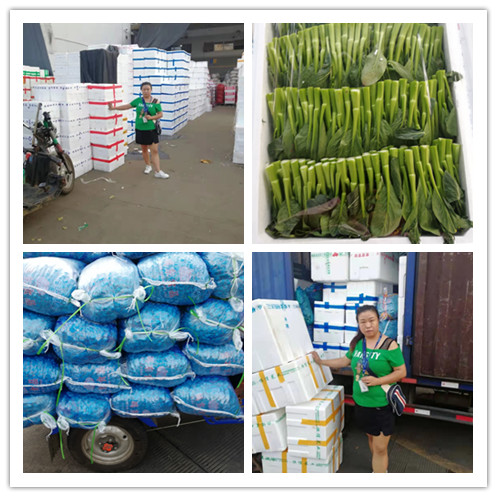 PA视讯(中国)集团官网 - PlayAce