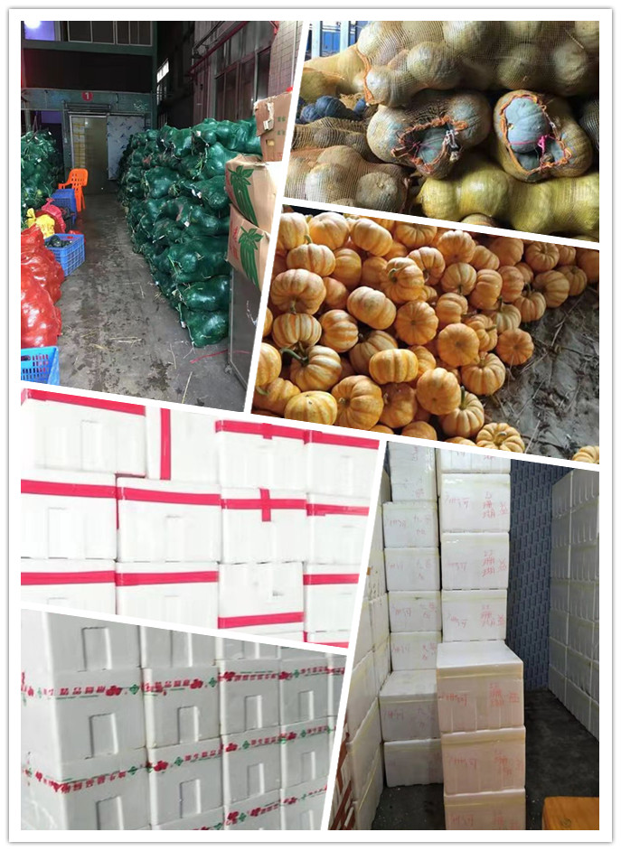 PA视讯(中国)集团官网 - PlayAce