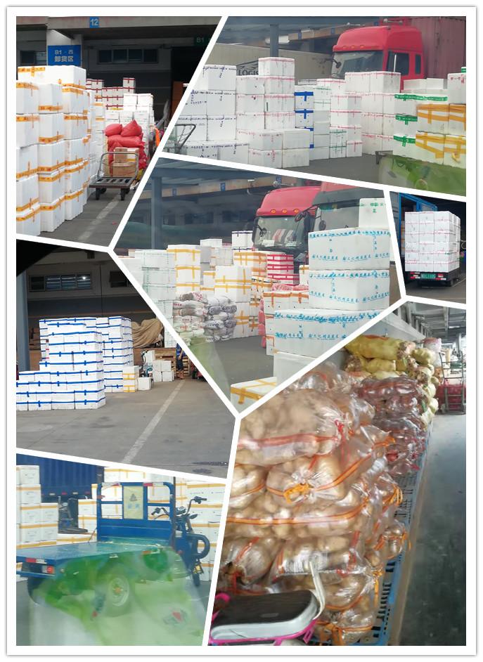 PA视讯(中国)集团官网 - PlayAce