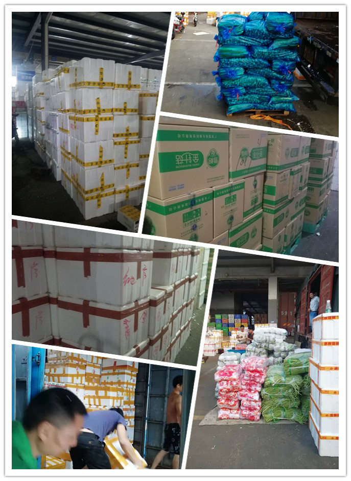 PA视讯(中国)集团官网 - PlayAce