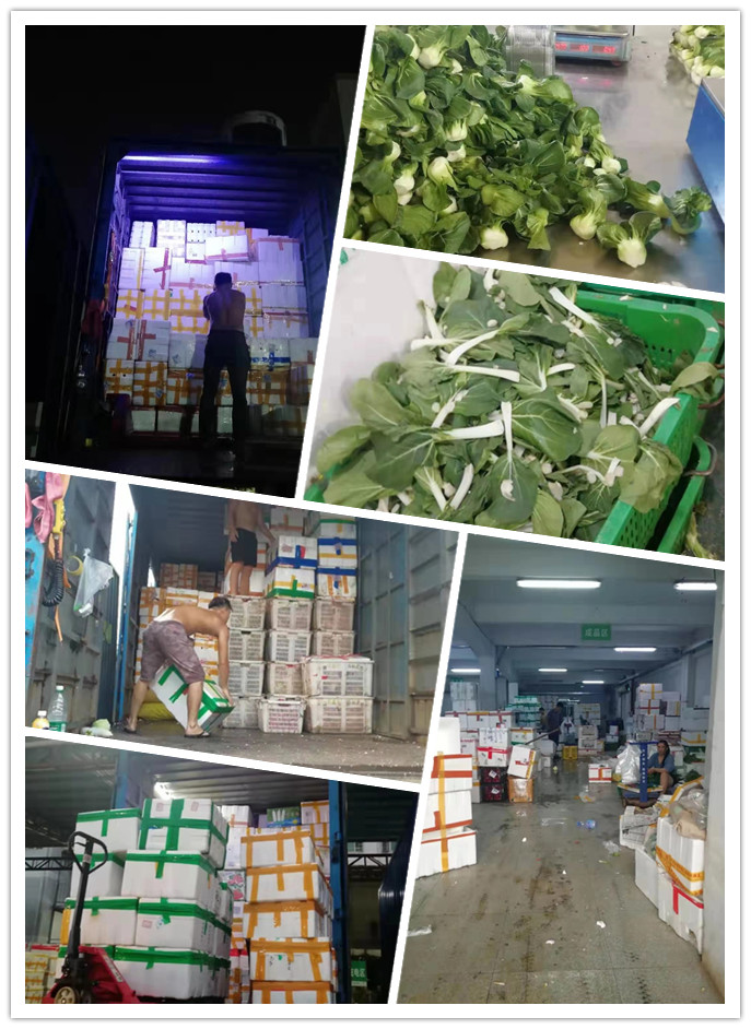 PA视讯(中国)集团官网 - PlayAce