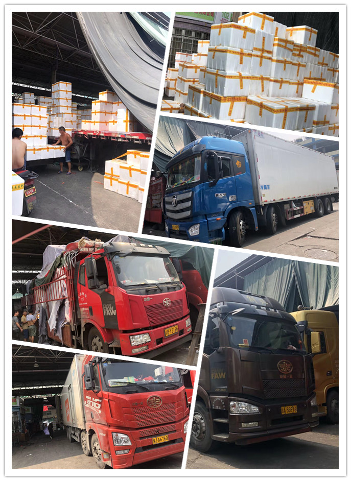 PA视讯(中国)集团官网 - PlayAce