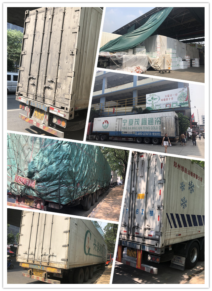 PA视讯(中国)集团官网 - PlayAce