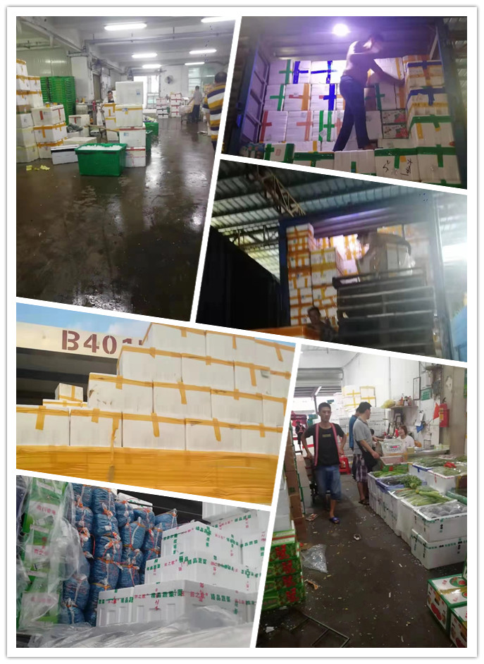 PA视讯(中国)集团官网 - PlayAce