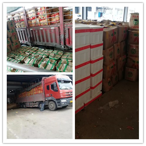 PA视讯(中国)集团官网 - PlayAce