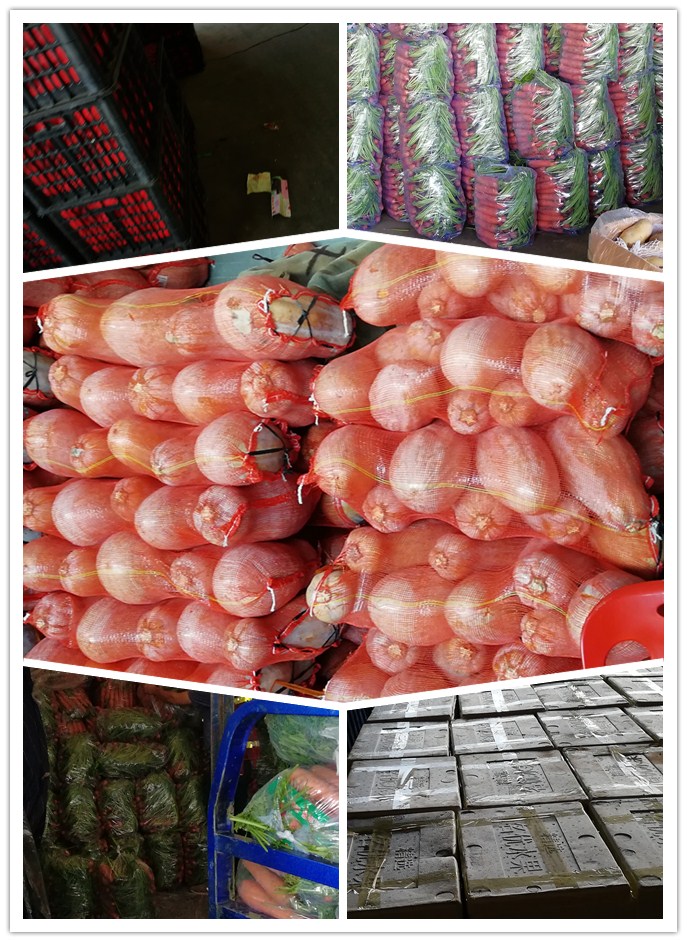 PA视讯(中国)集团官网 - PlayAce