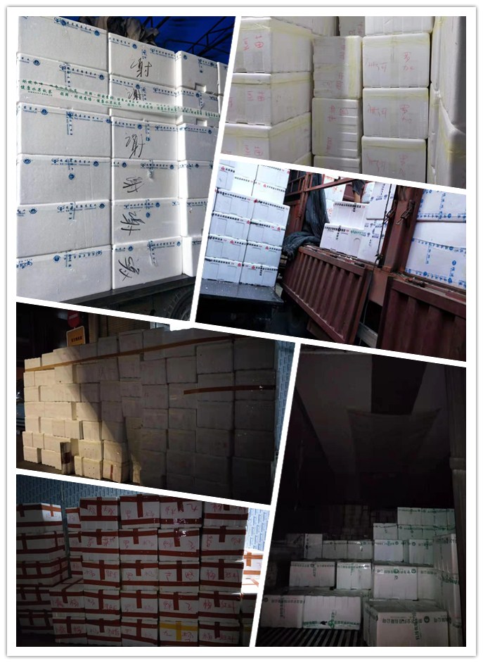 PA视讯(中国)集团官网 - PlayAce