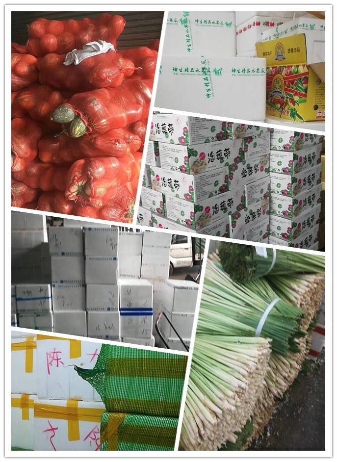 PA视讯(中国)集团官网 - PlayAce