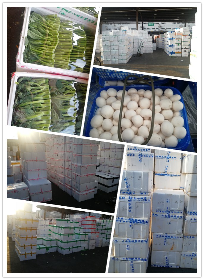 PA视讯(中国)集团官网 - PlayAce