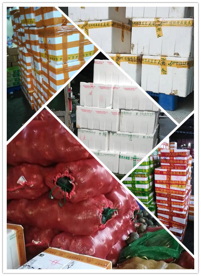 PA视讯(中国)集团官网 - PlayAce