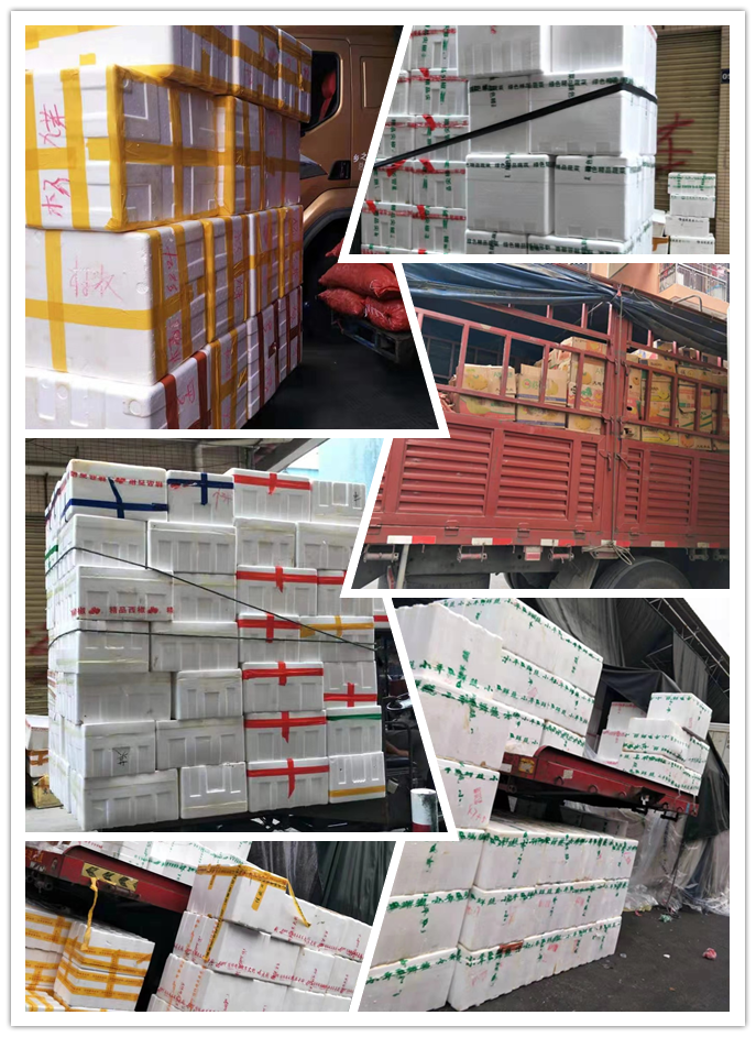 PA视讯(中国)集团官网 - PlayAce