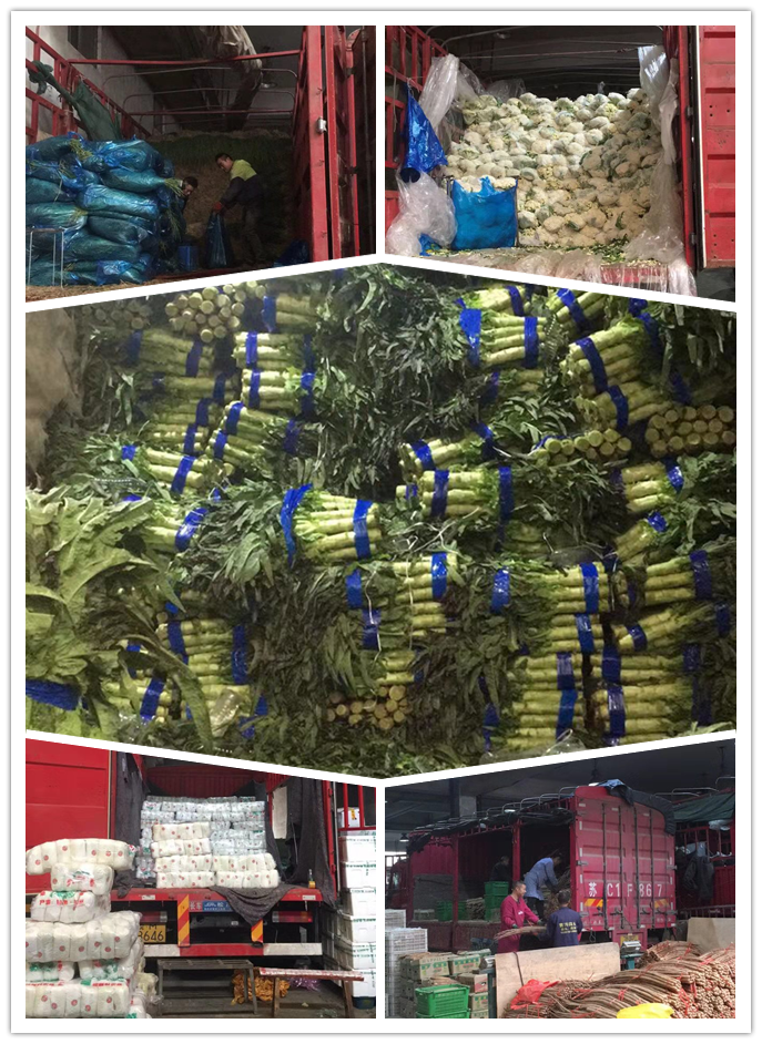 PA视讯(中国)集团官网 - PlayAce