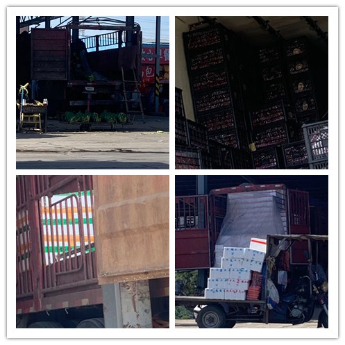 PA视讯(中国)集团官网 - PlayAce