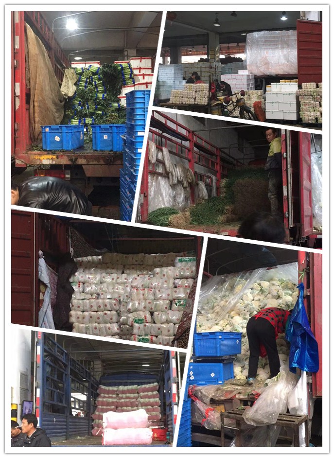 PA视讯(中国)集团官网 - PlayAce