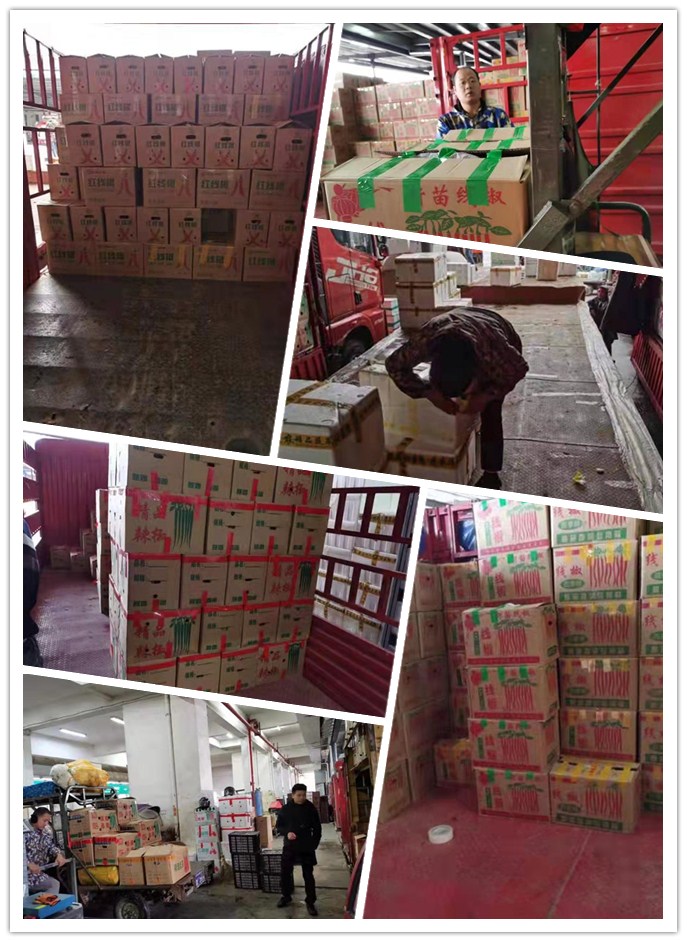 PA视讯(中国)集团官网 - PlayAce