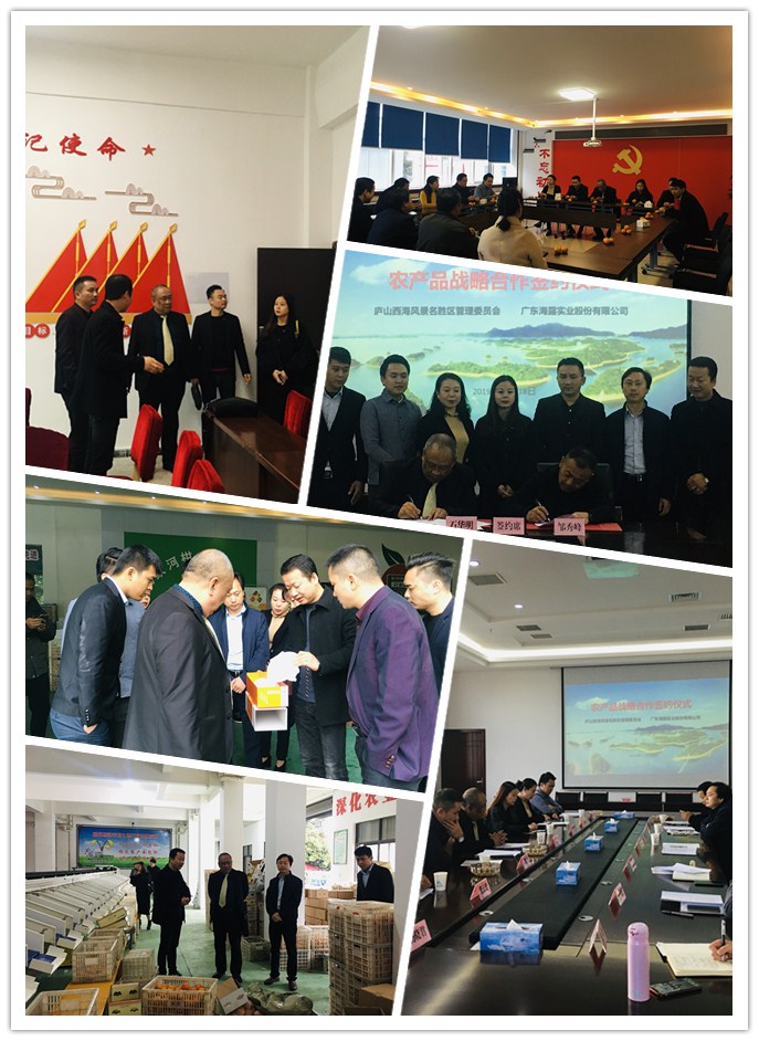 PA视讯(中国)集团官网 - PlayAce