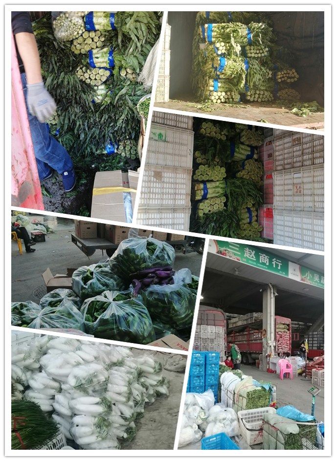 PA视讯(中国)集团官网 - PlayAce