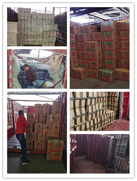 PA视讯(中国)集团官网 - PlayAce