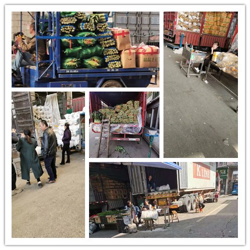 PA视讯(中国)集团官网 - PlayAce